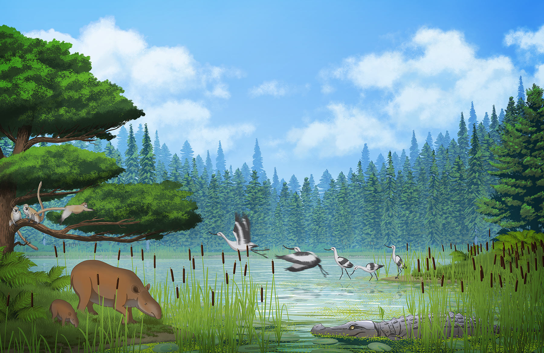 corboeuf_07 illustration époque éocène. avec divers animaux et un paysage naturel.